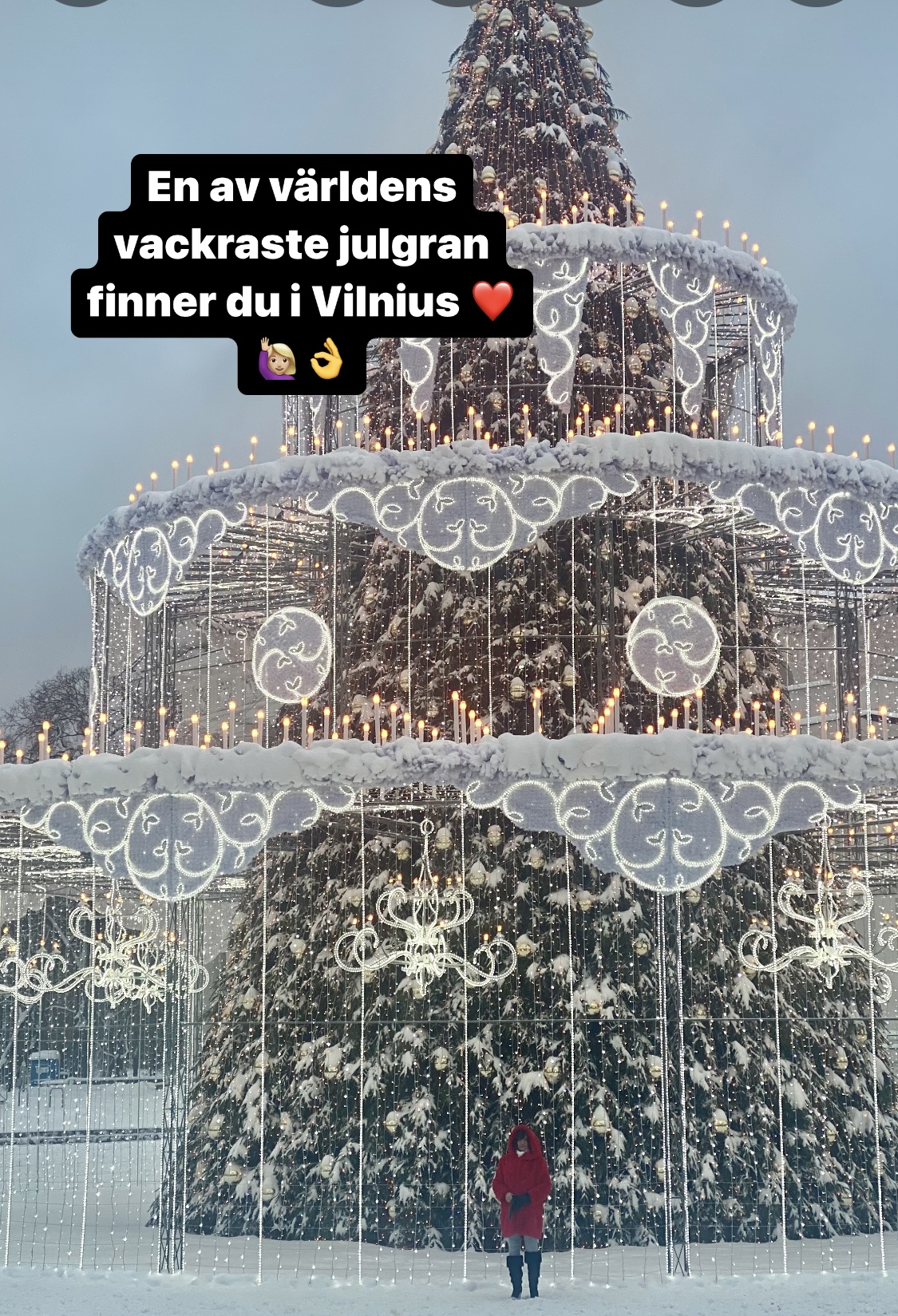 Vilnius i vacker vinterskrud